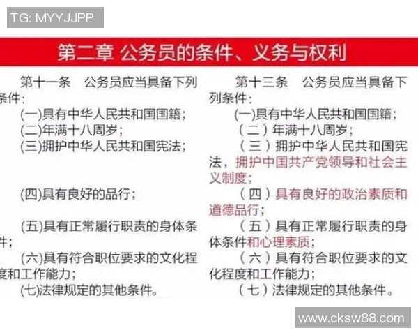 成都排球队心理素质分析与表现评估大满贯点评