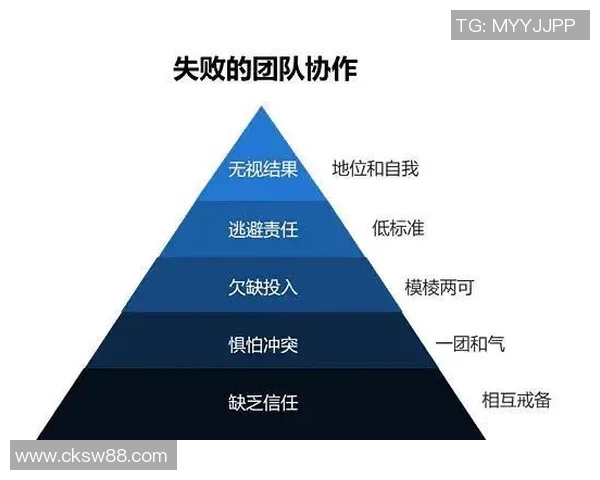 成都排球队在欧锦赛中的团队协作展现出无与伦比的默契与实力