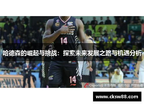 哈德森的崛起与挑战：探索未来发展之路与机遇分析